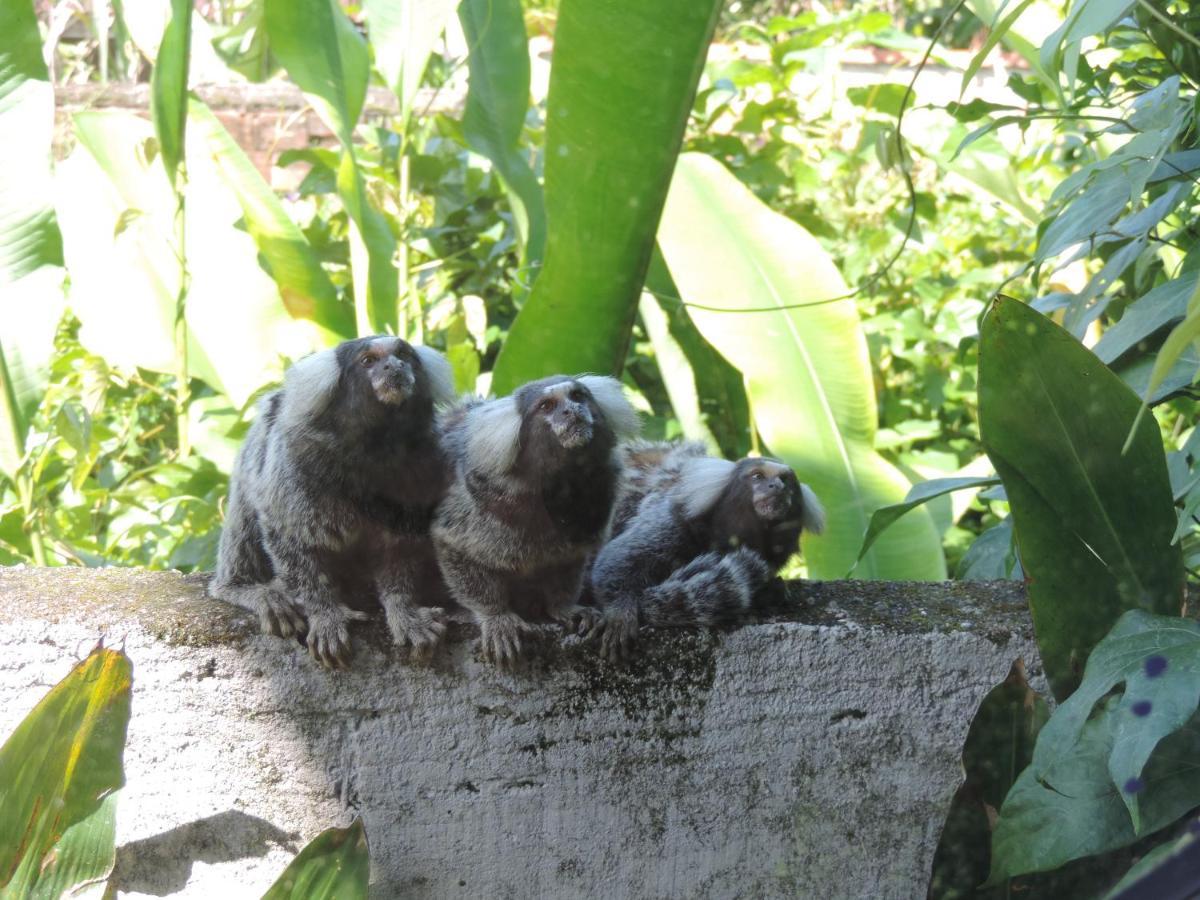 Pousada Tropicalia Araquari Dış mekan fotoğraf