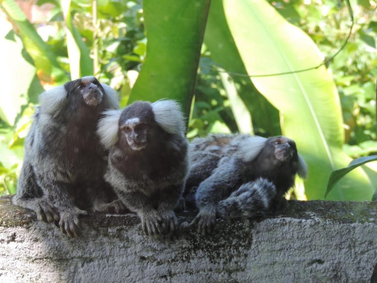 Pousada Tropicalia Araquari Dış mekan fotoğraf